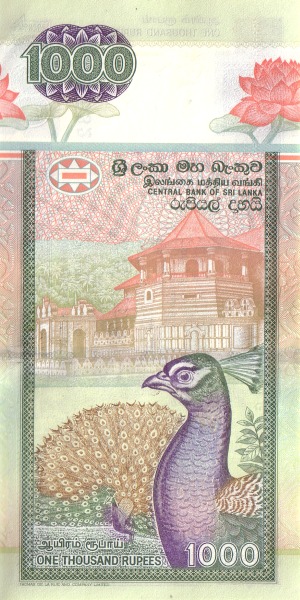  Temple of the  Tooth, Kandy; peacock