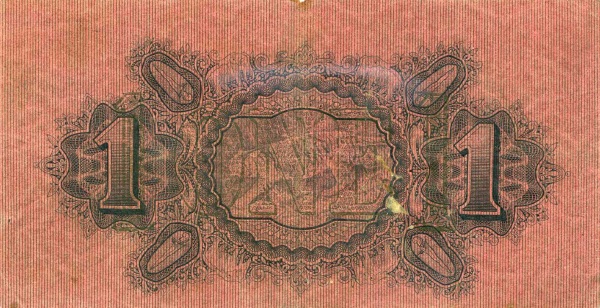  Tiger