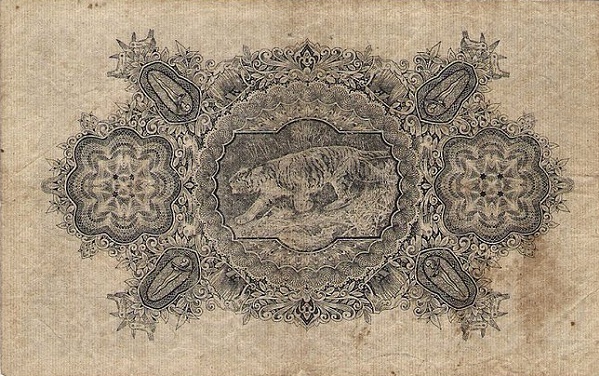  Tiger