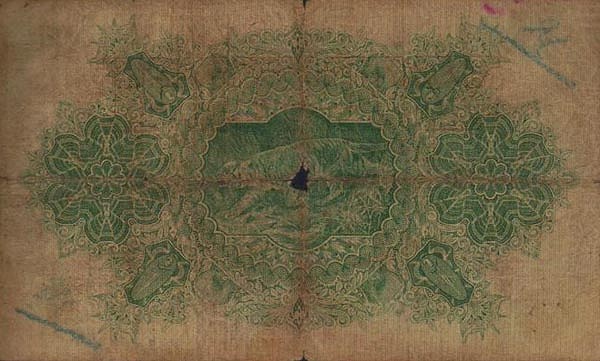  Tiger