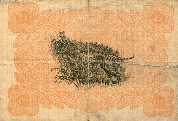 Tiger