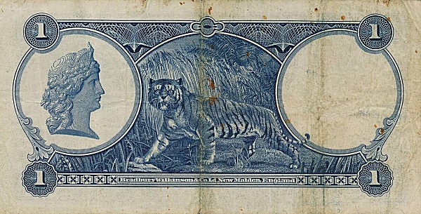 Woman's head, tiger