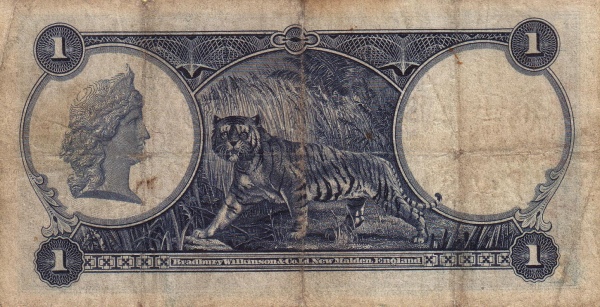  Woman's head, tiger
