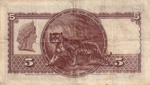  Tiger