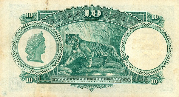  Woman's head, tiger