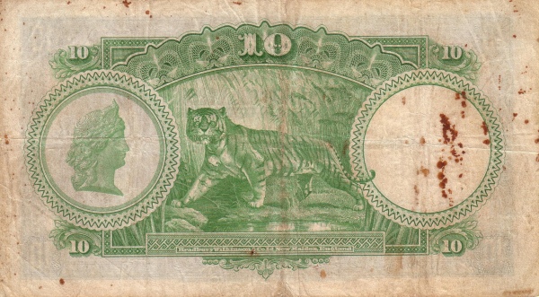  Woman's head, tiger