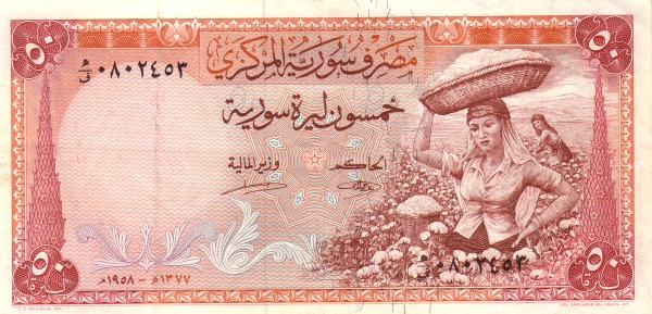  Cotton harvest