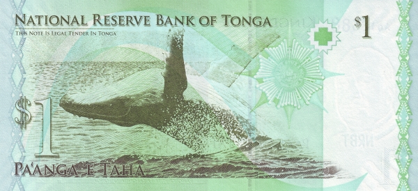  Whale