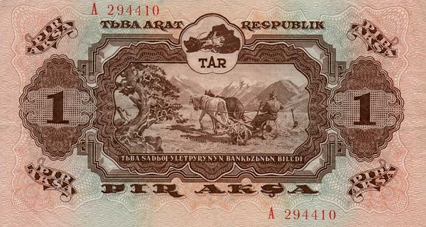  Old tree, plowing  with oxen