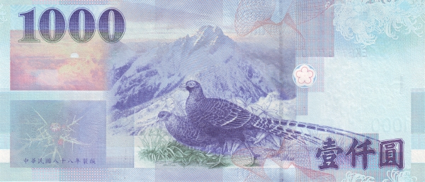  Mikado pheasants,  Yushan (Jade mountain)