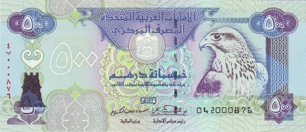  Saker falcon  (falco cherrug)