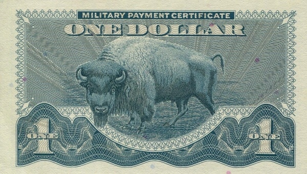 Bison