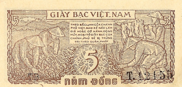  Harvesting,  planting rice