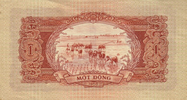  Rice planting