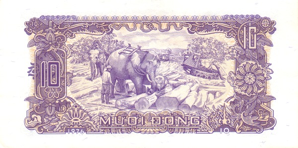 Elephant, logging