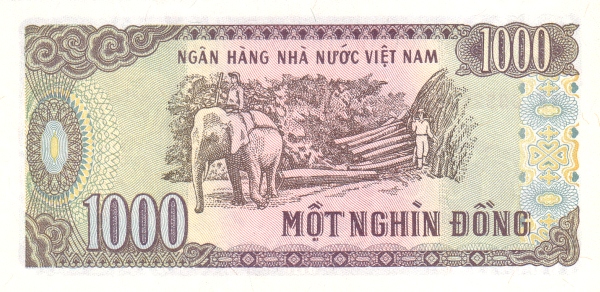  Elephant, logging