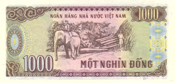  Elephant, logging