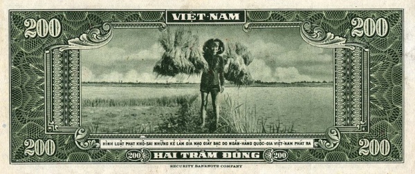  Girl with rice  bundles
