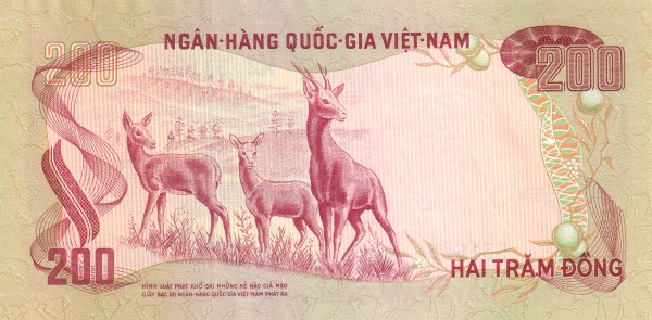  Deer