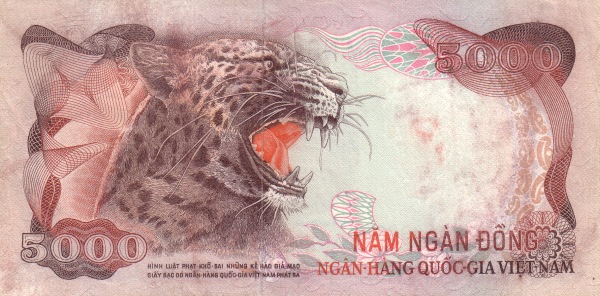  Leopard