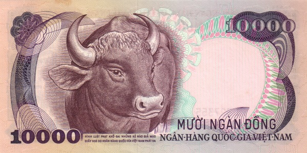  Cow