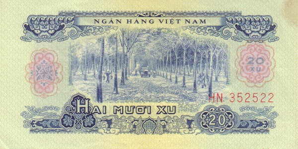  Rubber plantation